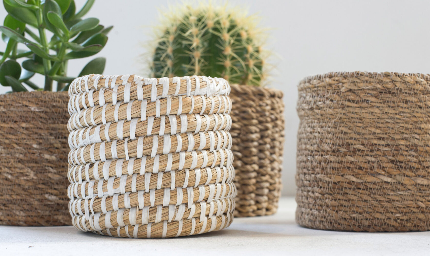 IMG_9882_Dove-River-and-Sea