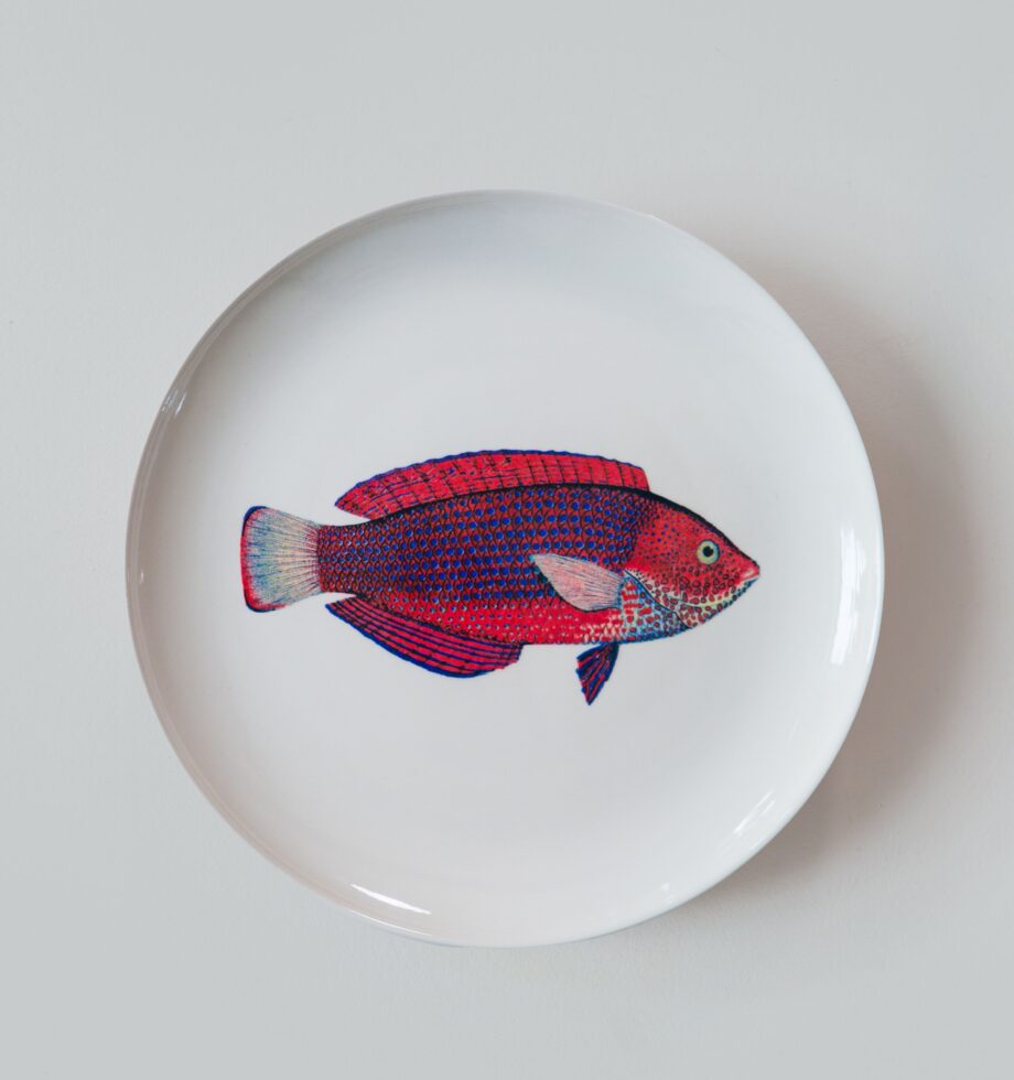 IEgJNw3EJaP2LKsWBOyvVBDoKyHXGy7eZtYb8T3D