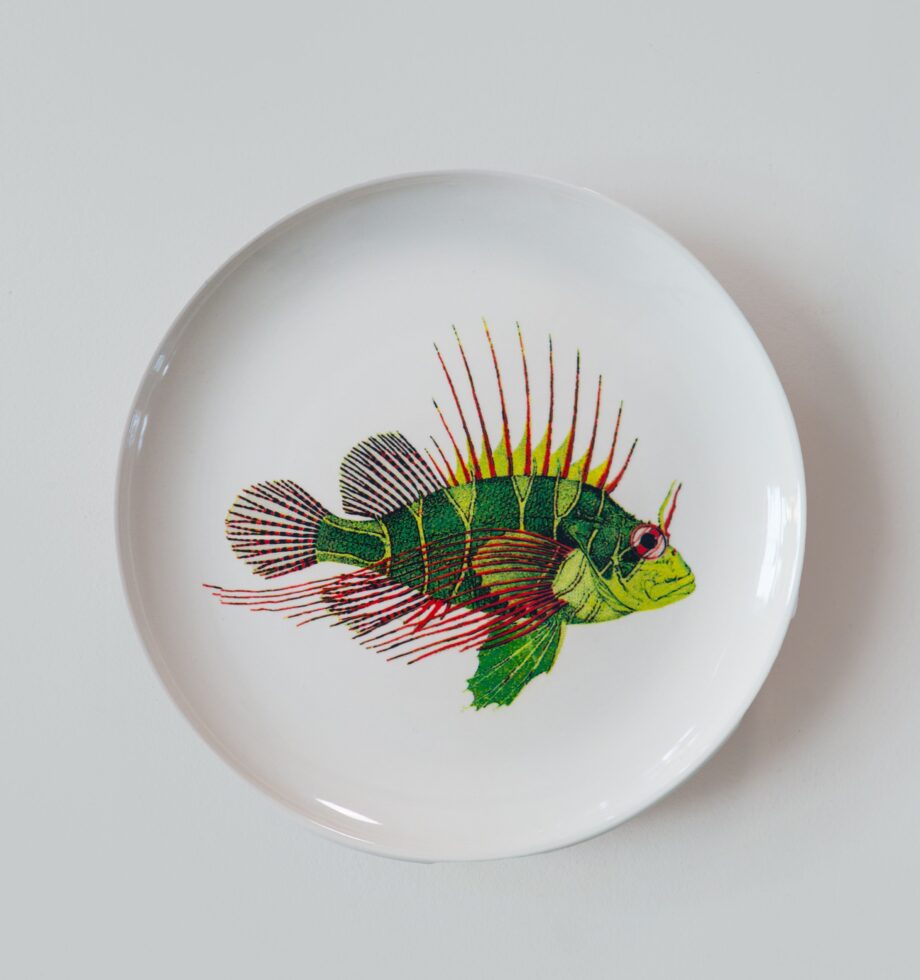 KIjirPERMkw959O7t3i9wmN9ubl0dtuAJBuhCT9W