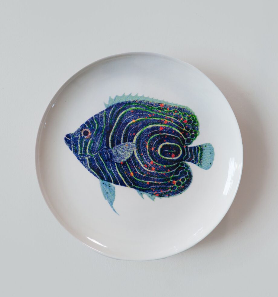 ioIwZ7DaKTpqRI8ZEuPWt2u0y7IrFWI7SKklEWxF