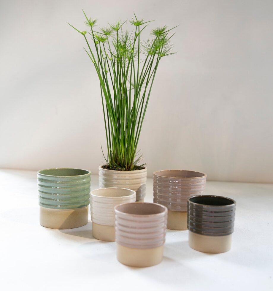 N7u9kr57WHwyD4SYdAqaZWjRUcHTe4s2ZWwz3gnc