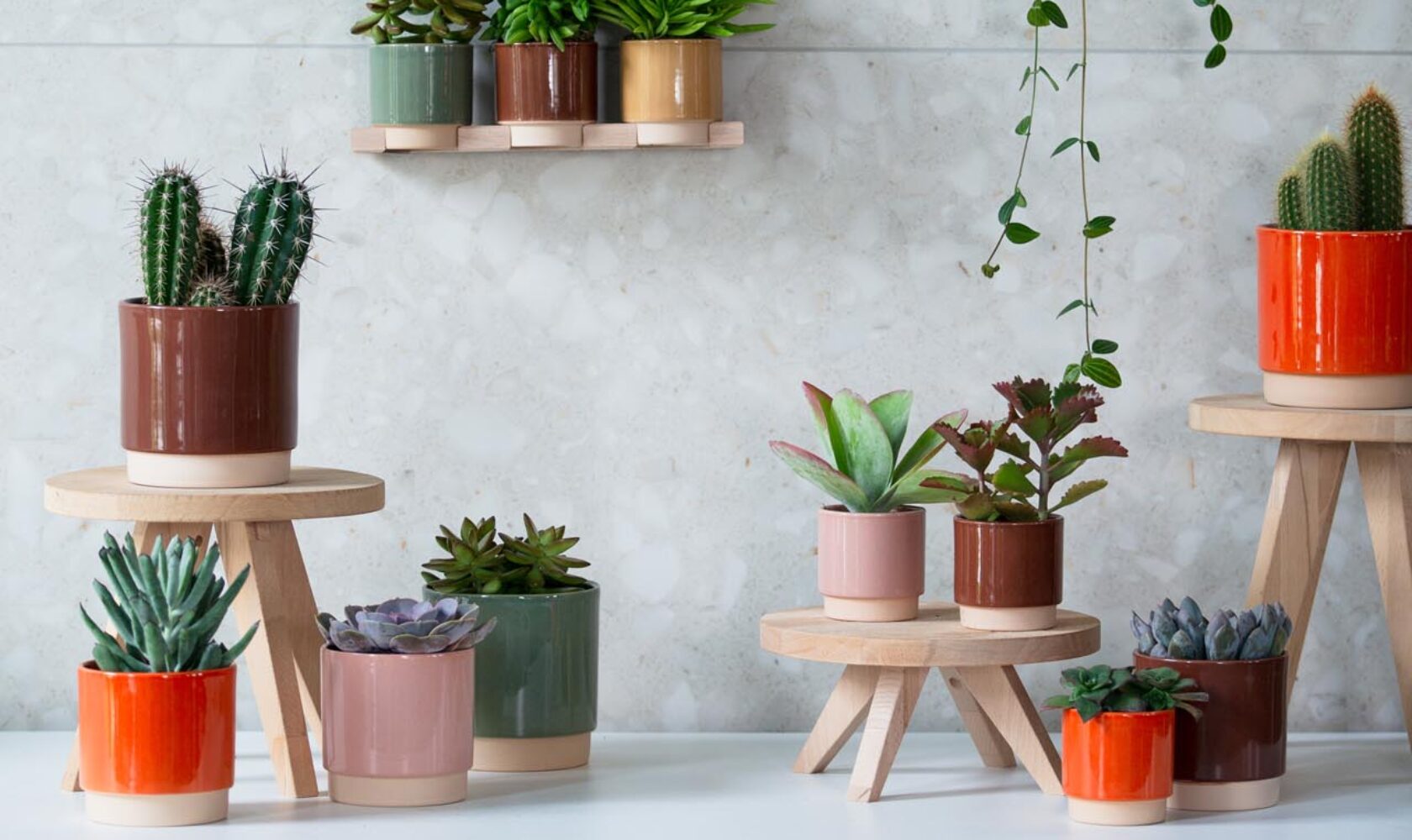 7D8A0353 Eno Fondo Fenix