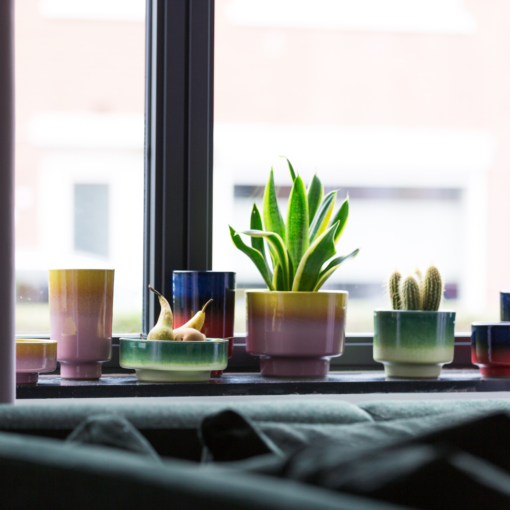 Untitled design (18)